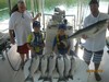 (08/04/2016) - Nice Striped Bass